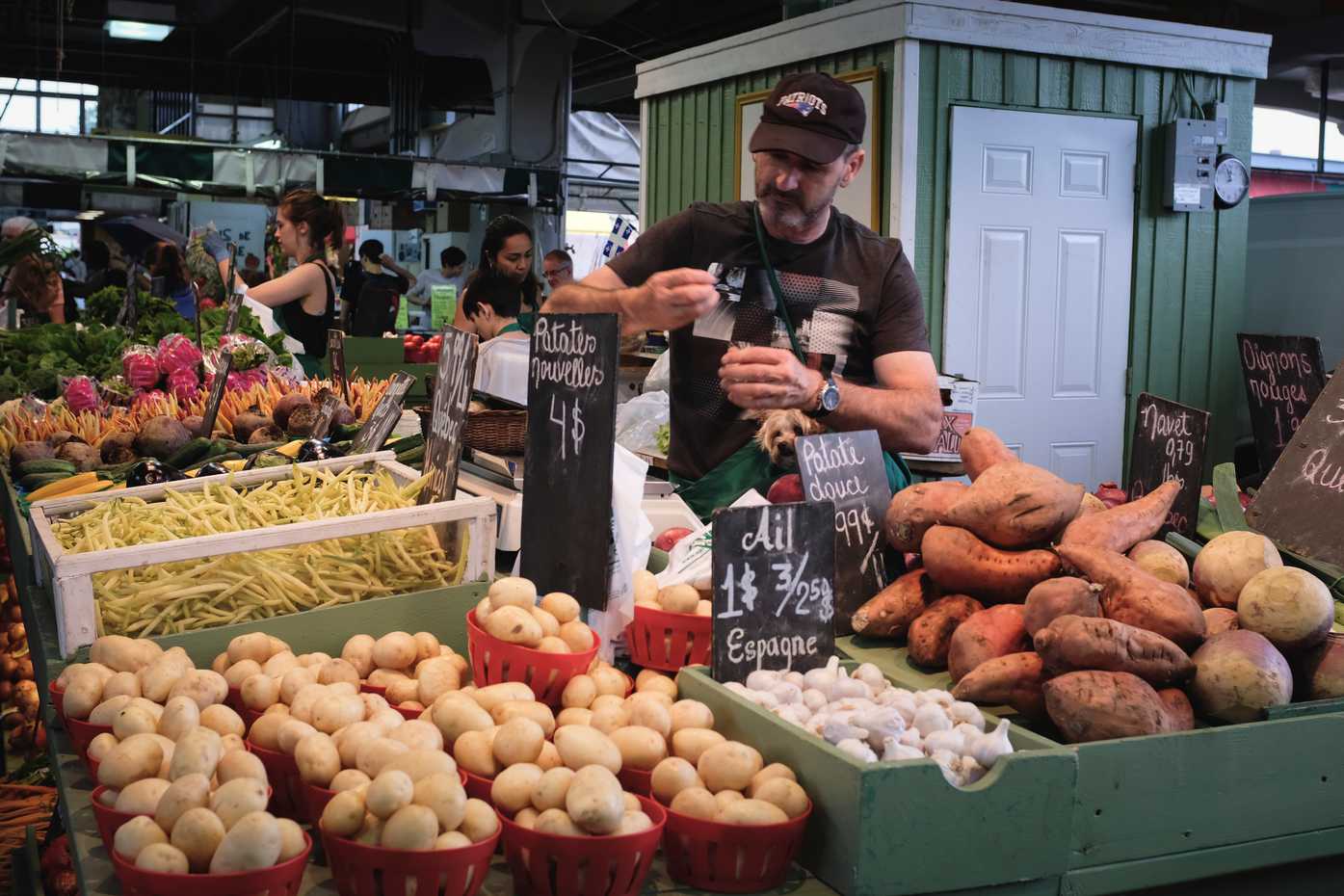 A grocer and his dog at the Jean Talon marketplace