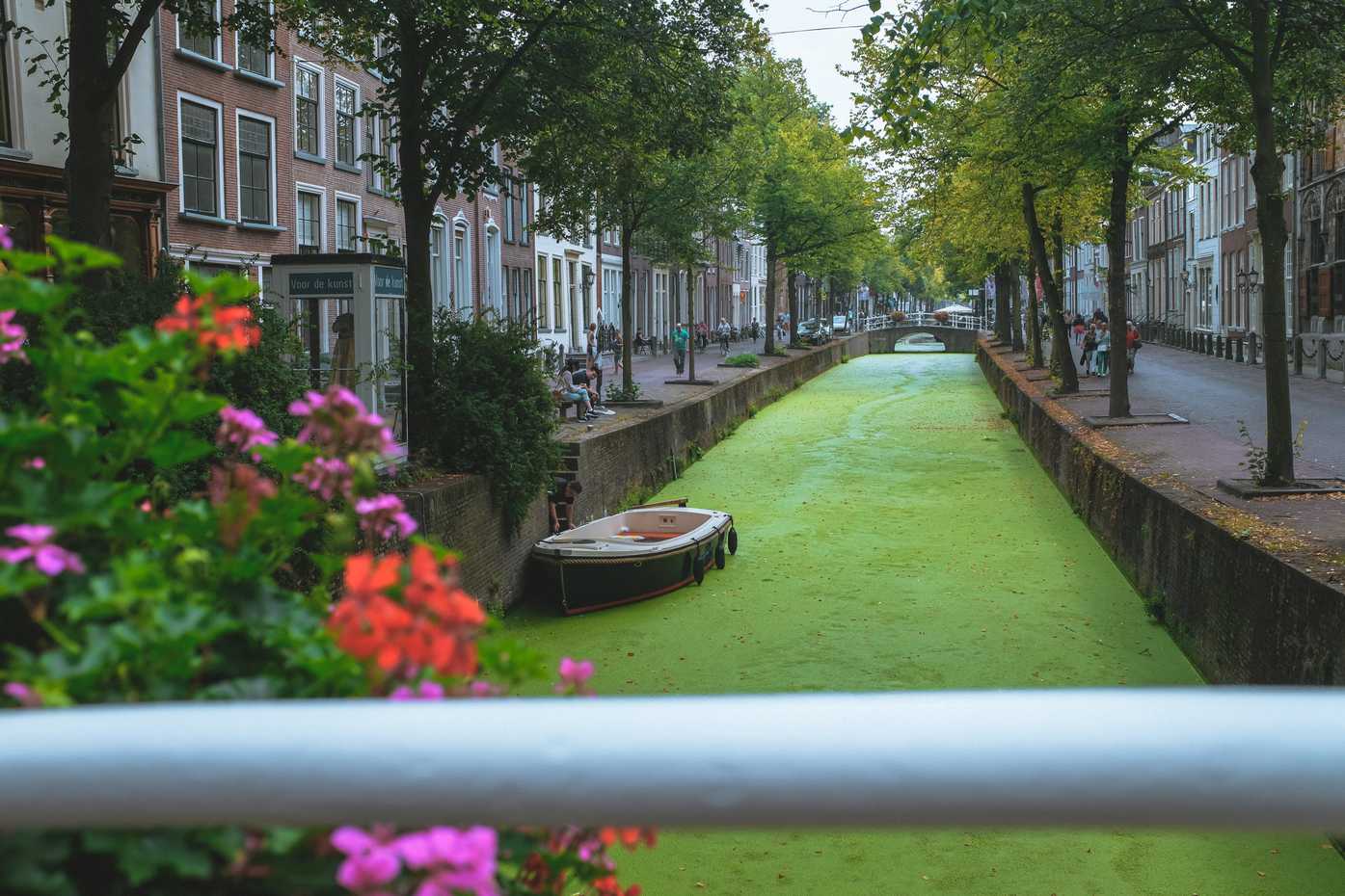 Another view of a green canal